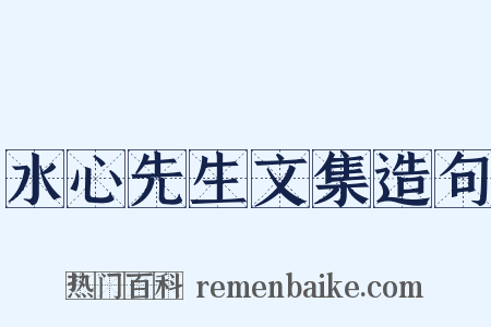 水心先生文集造句是什么意思的图片
